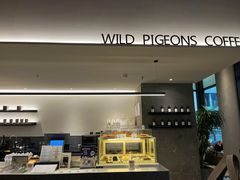 -野鸽子咖啡(中航店)