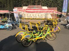 -日照海滨国家森林公园