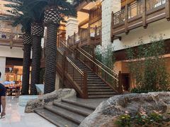 -太湖饭店玉兰厅(自助餐厅)