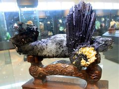 -湖南省地质博物馆