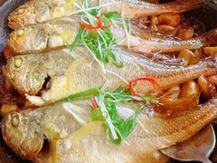 -有喜胶东小馆(太申祥和店)
