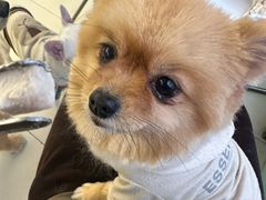 -怪兽屋·羊驼·猫咖·狗咖(俊华广场店)