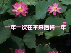 -南翠屏公园