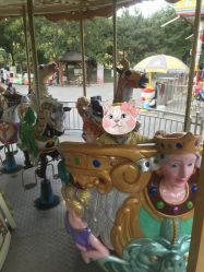 -大望京儿童游乐场