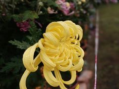 -共青国家森林公园-售票处