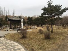 -吉林大学(前卫南区)