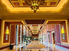 -拉斯维加斯永利酒店