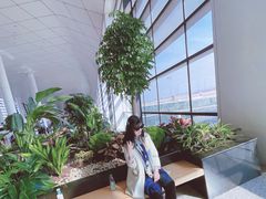 -郑州新郑国际机场