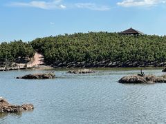 -南大港湿地风景区