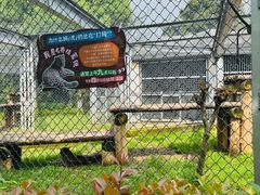 -合肥野生动物园
