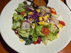 田园时蔬沙拉沙拉-布拉格餐厅· 中欧捷克菜(全国首店)