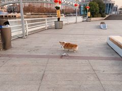 -太湖月亮湾