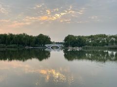 -大兴滨河森林公园