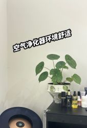-蚂蚁造型俱乐部