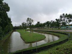 -上海长兴岛郊野公园