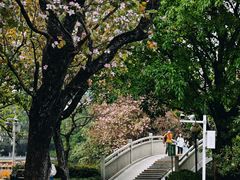 -东山湖公园