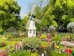 -上海共青森林公园