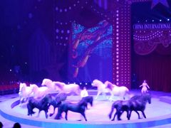 -珠海横琴长隆《卡卡虎奇遇记》