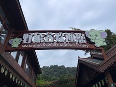 -野象谷景区