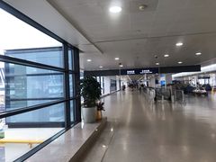-上海浦东国际机场-T2航站楼
