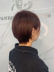 -潘多拉Hairsalon