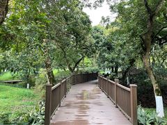 -张坝桂圆林公园