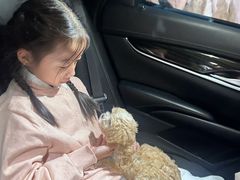 -翊宠yipet猫狗购宠庄园犬舍•猫舍