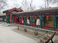 -荣国府
