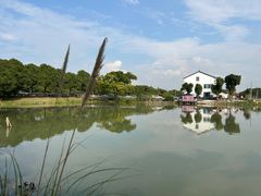 -水岸居湖景农家乐·阳澄湖大闸蟹
