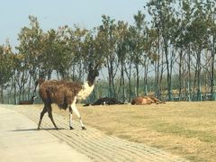 -南京金牛湖风景区