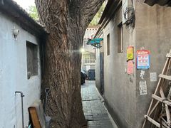 -七寻八找·胡同菜