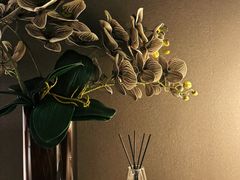 -安屿an·spa(卓悦中心商场店)