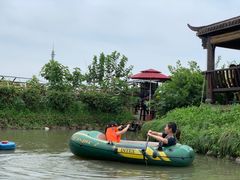 -樂桃源奉贤黄桃种植采摘基地