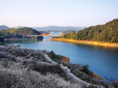 -广州市流溪河国家森林公园