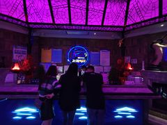 -飞歌e族KTV(雄楚1号店)