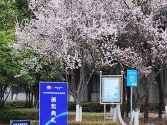 -南京邮电大学(仙林校区)