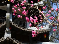 -温州永嘉书院