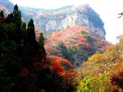 -黄花溪