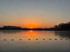 -大兴滨河森林公园