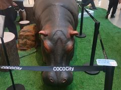 -深圳龙华星河COCO City(民治店)