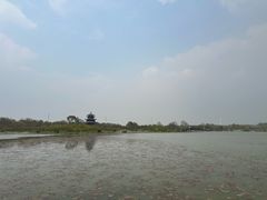 -上海海湾国家森林公园