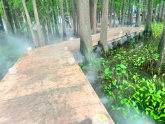 -东湖落雁景区