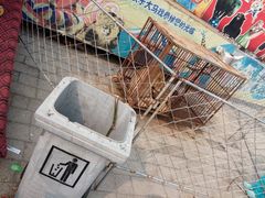 -回龙观体育文化公园