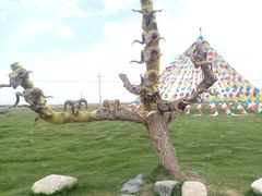 -青海湖国家重点风景名胜区