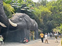 -野象谷景区
