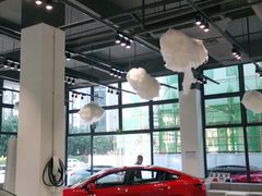 -TESLA 特斯拉(深圳观澜特斯拉直营钣喷中心)