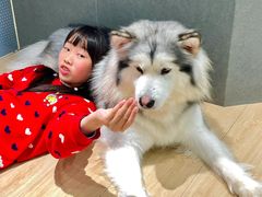 -瑞虹新天地月亮湾