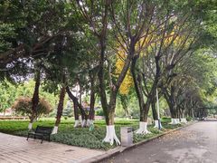 -西南政法大学(沙坪坝校区)