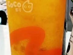 春见柑橘-CoCo都可(白石洲店)