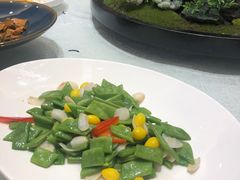 -新日月育才大酒店-中餐厅(环城北路店)